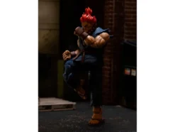 Akuma 6
