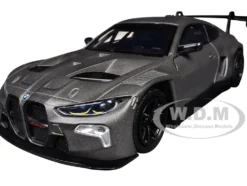 BMW M4 GT3 Matt Black 