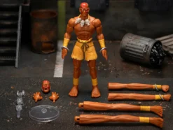 Dhalsim 6