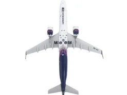Embraer ERJ-190 Commercial Aircraft
