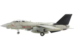 Grumman F-14A Tomcat Fighter Aircraft