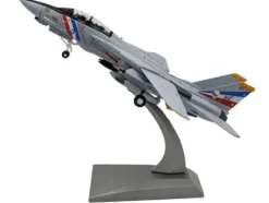 Grumman F-14D Tomcat Aircraft 
