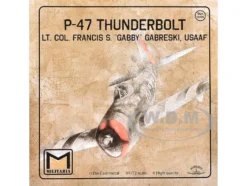 Republic P-47 Thunderbolt Fighter Aircraft 