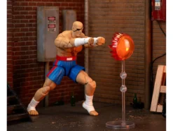 Sagat 7.5
