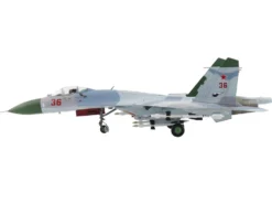 Sukhoi Su-27 Flanker-B Fighter Aircraft 